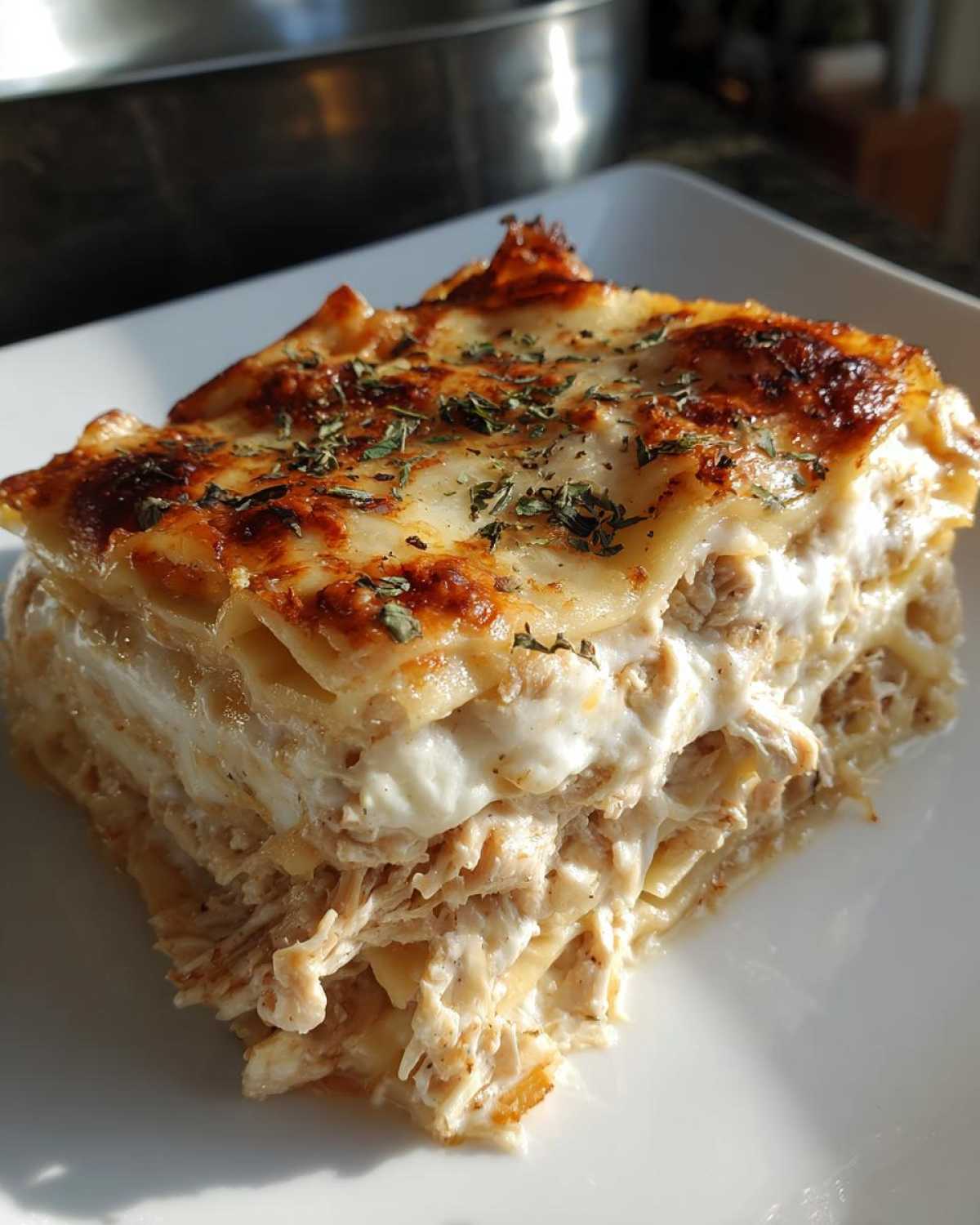 A close-up slice of rich chicken alfredo lasagna showing layers of pasta, creamy sauce, shredded chicken, and a browned, herbed top.