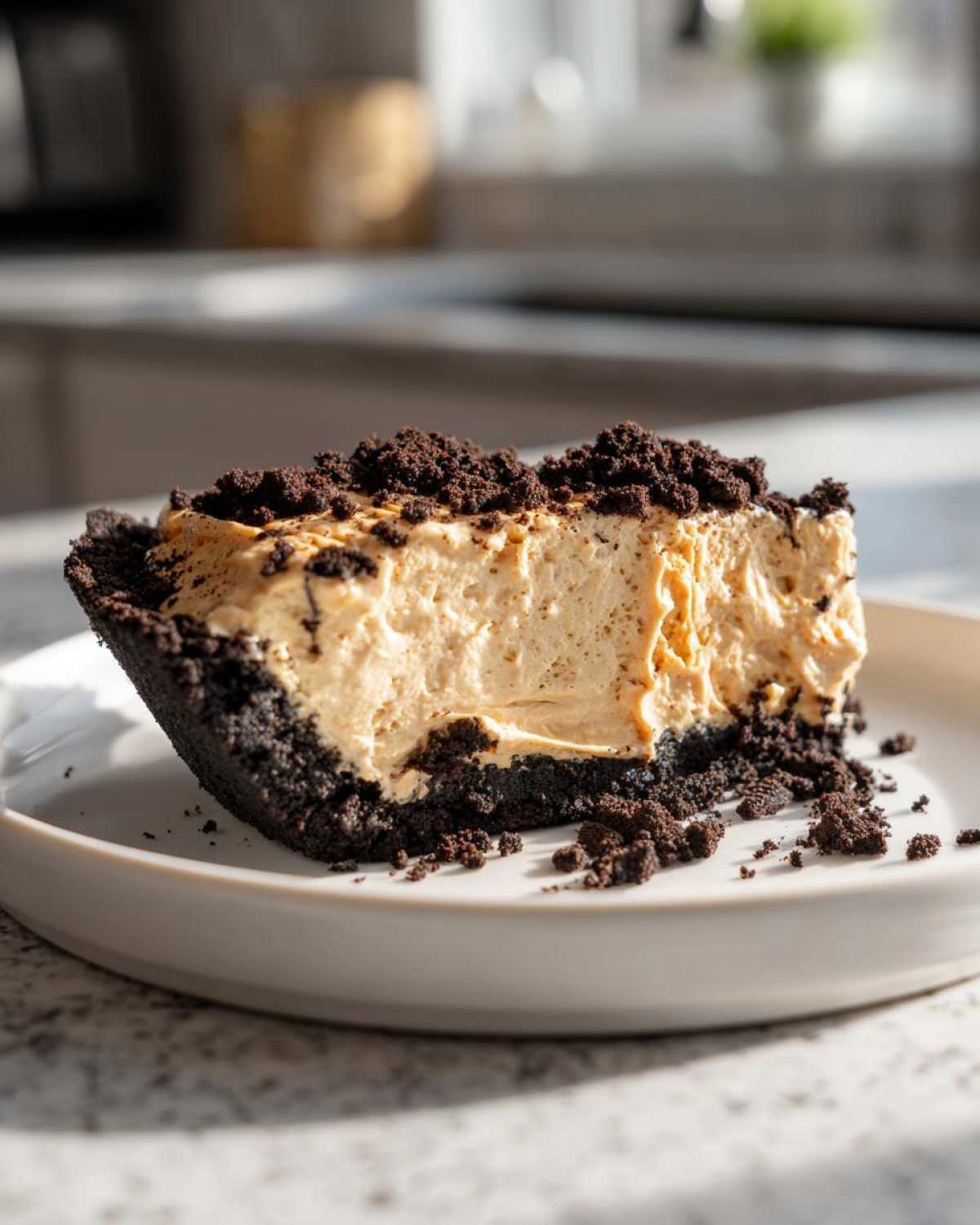 A decadent slice of no bake peanut butter pie featuring a thick, creamy filling and dark chocolate cookie crust, topped with crumbs.